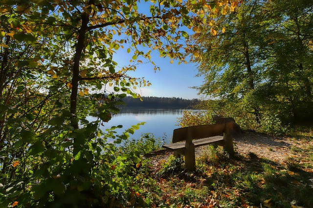 示了足球世 示了足球世