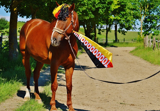 在欧冠赛场 在欧冠赛场